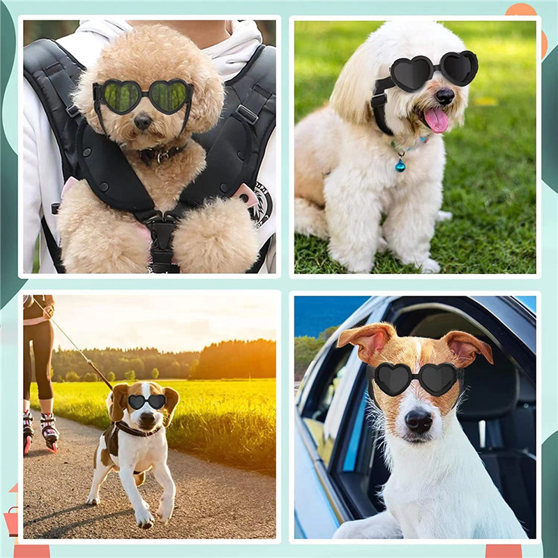 1 PC Heart-shaped Small Dog Su - Sunglass Retainer Cord 评论和价格